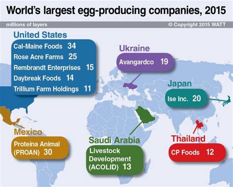 Top 20 US Egg Producers in 2021 .